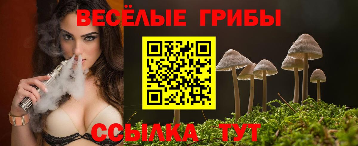 Псилоцибиновые грибы прущие грибы  Вход с VPN  Ачинск  как найти   Галлюциногенные грибы GOLDEN TEACHER 
