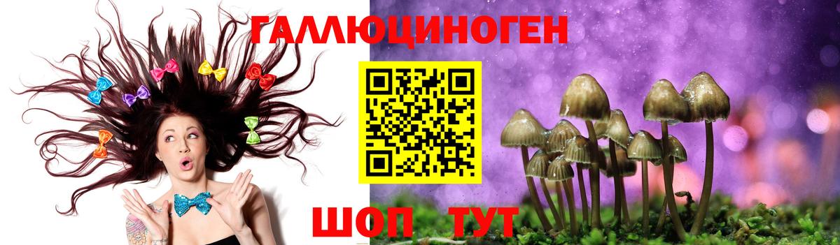 Галлюциногенные грибы прущие грибы Ачинск